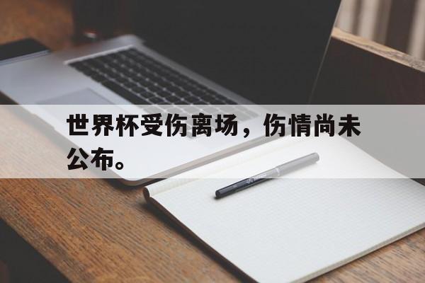 milan sports-世界杯受伤离场，伤情尚未公布。