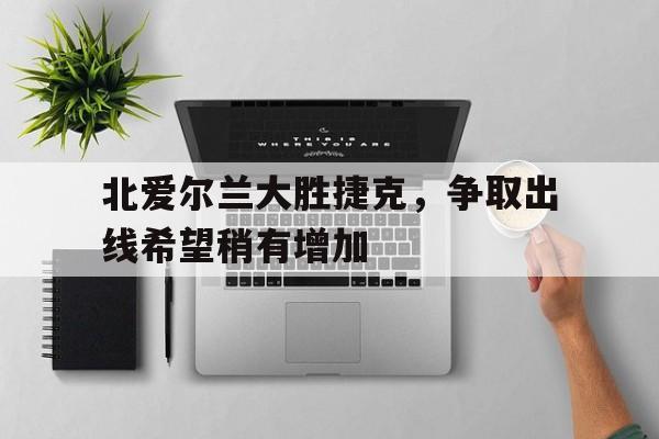 米兰体育APP-北爱尔兰大胜捷克，争取出线希望稍有增加
